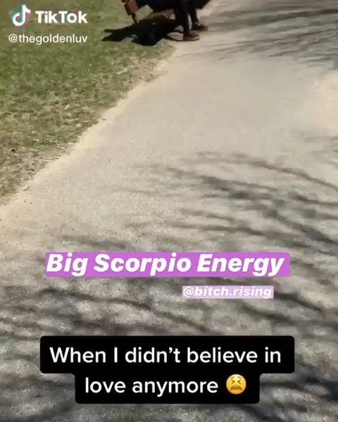 Thumbnail of p-cdt2rxmnwi5-0ebc8b7fa1a8497d 1