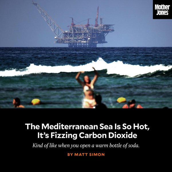 Thumbnail of p-cj9cn38malr-0ecd995705f247ea 0