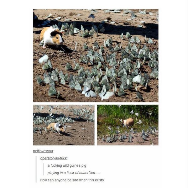 Thumbnail of p-by3dryul1gs-0eff6cfc1edd4631 9