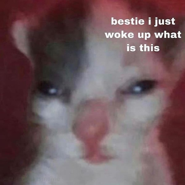 Thumbnail of p-cat8zliqdvw-0f2d8e3afade473f 0