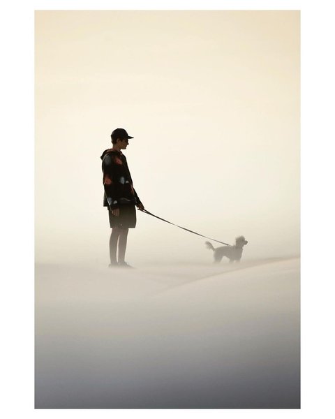 Thumbnail of p-cuasppqossu-0f68ff7567214e27 0