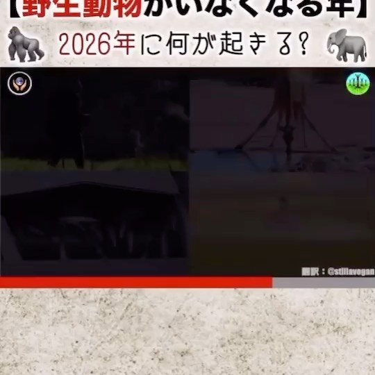 Thumbnail of p-cc5h3zhf6te-0f7a67d6f90e496b 3