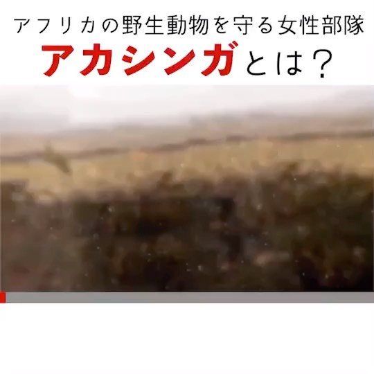 Thumbnail of p-cc5h3zhf6te-0f7a67d6f90e496b 4