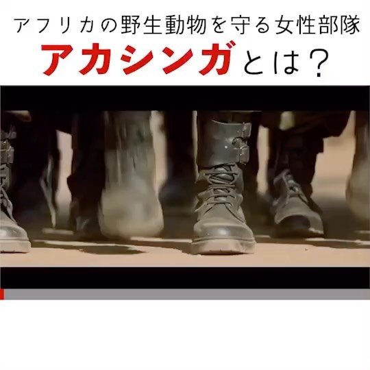 Thumbnail of p-cc5h3zhf6te-0f7a67d6f90e496b 5