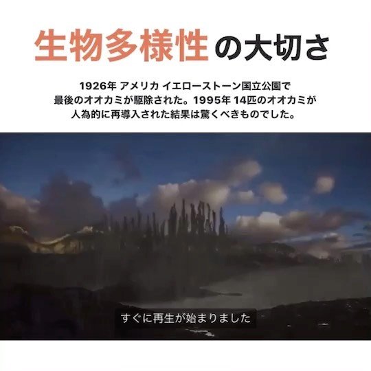 Thumbnail of p-cc5h3zhf6te-0f7a67d6f90e496b 9