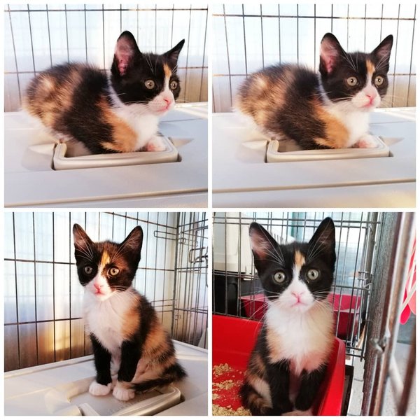 Thumbnail of cpcyh4fp5-z-0f93661ba9ee441f 1