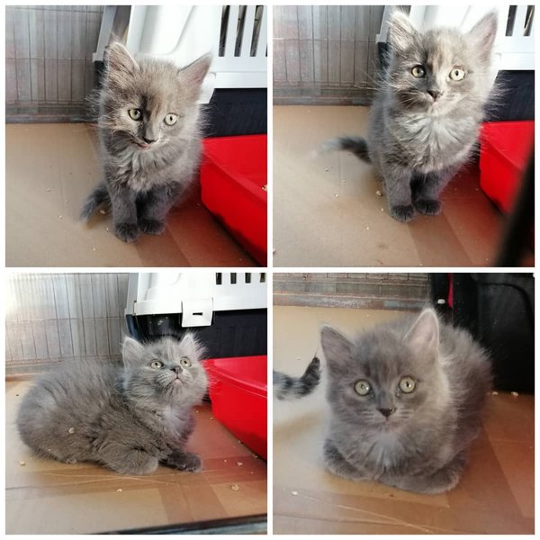 Thumbnail of cpcyh4fp5-z-0f93661ba9ee441f 2