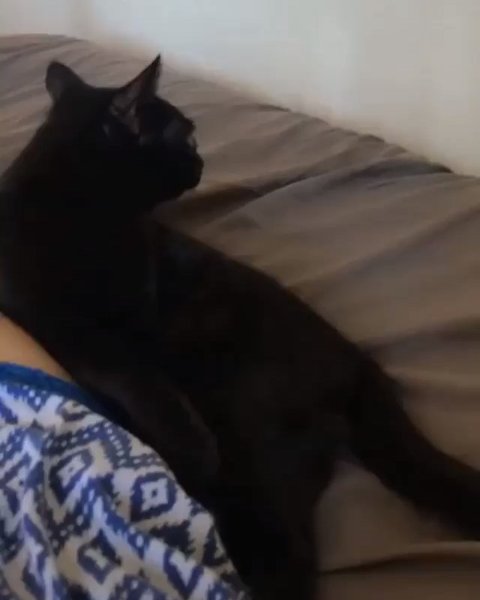 Thumbnail of b0b-fhjjytg-0fa2ecb9e0a34c9b 3