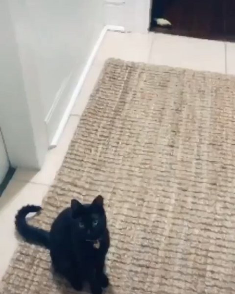 Thumbnail of b0b-fhjjytg-0fa2ecb9e0a34c9b 5