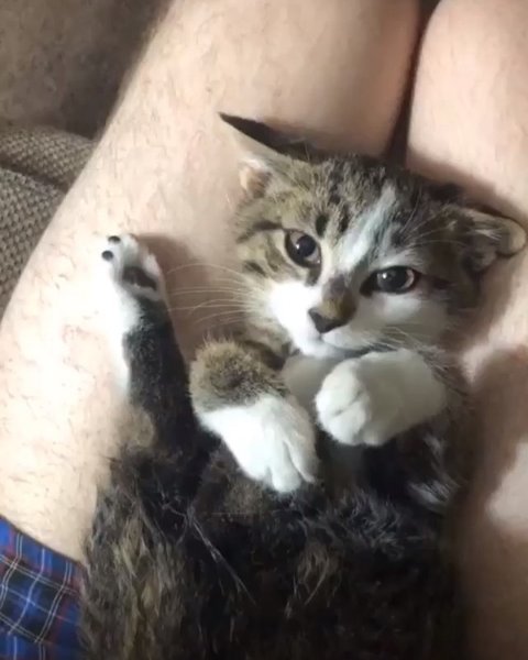 Thumbnail of b0b-fhjjytg-0fa2ecb9e0a34c9b 6