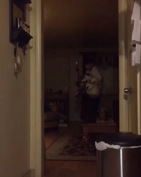 Thumbnail of b0b-fhjjytg-0fa2ecb9e0a34c9b 7