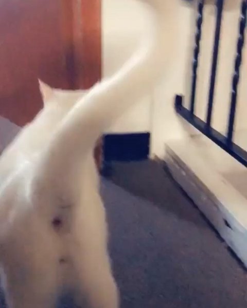 Thumbnail of b0b-fhjjytg-0fa2ecb9e0a34c9b 9