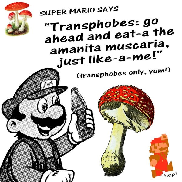 Thumbnail of p-dh4vczmyy1o-0fd78ccd21e04bd5 2