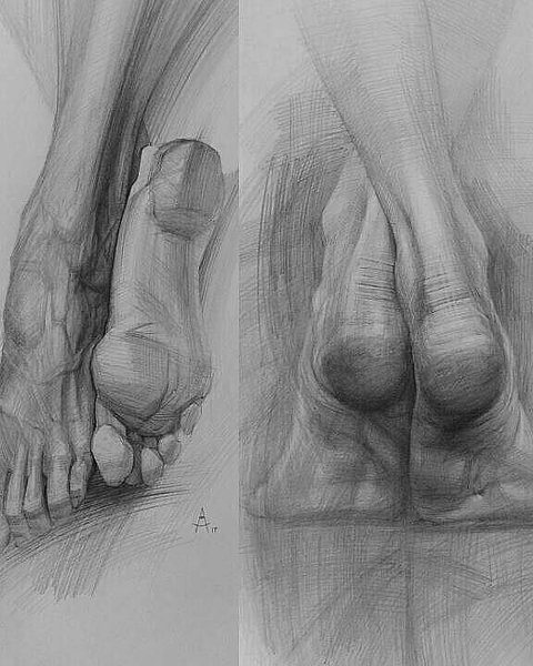 Thumbnail of p-blosxond1bx-0fe1f2839f4a4424 5