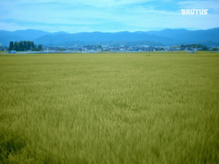 Thumbnail of p-dnnfyudx1ex-0ff3b327b07a47c4 1