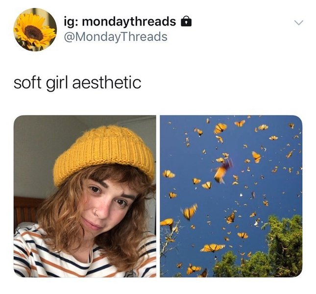 Thumbnail of p-b3c9edeh4lm-102a2b38a0124427 0