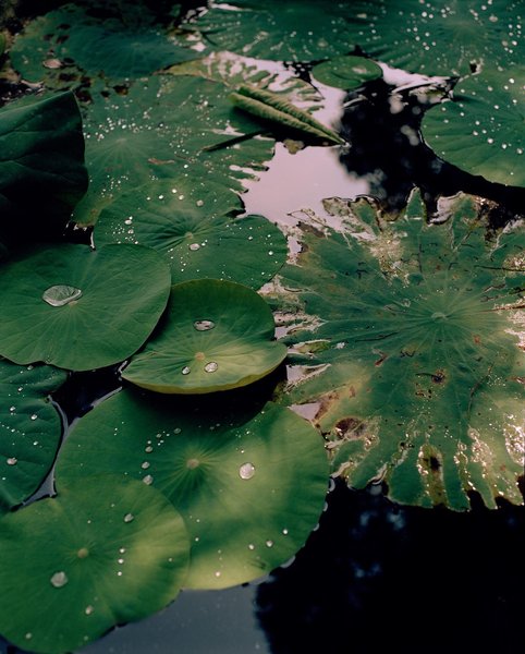 Thumbnail of p-b73rtwvgcvy-102e4da3812e41a1 0