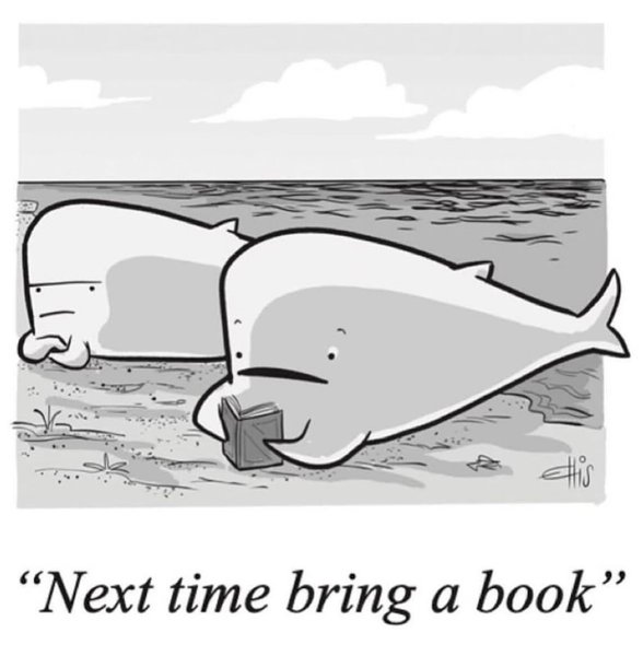 Thumbnail of p-dmvcsbvswu5-1090a18bb40f468d 5