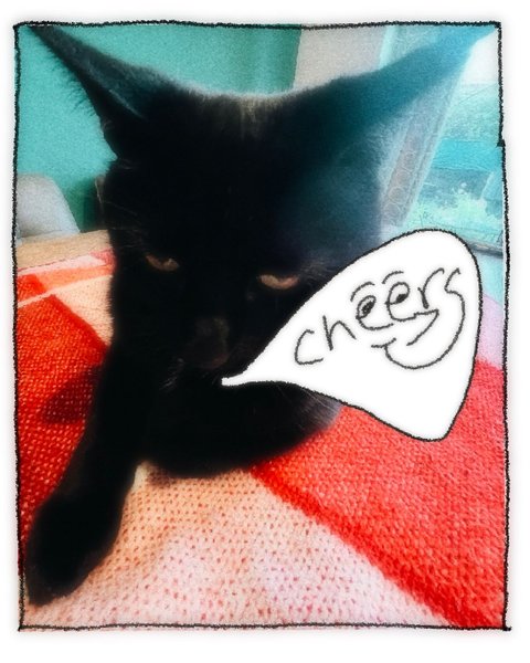 Thumbnail of p-dqbsuskccbx-10a8eaa470204fcf 7