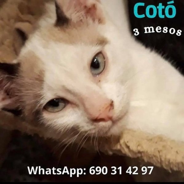 Thumbnail of p-csoixx6cix1-10d24dcbbeff48c3 0