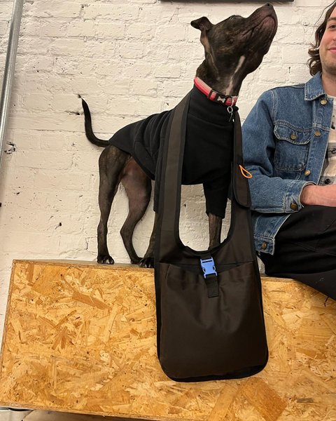 Thumbnail of p-czpbpb2sy1i-10e08786f179429c 3