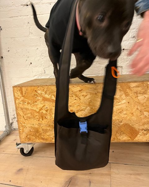 Thumbnail of p-czpbpb2sy1i-10e08786f179429c 4