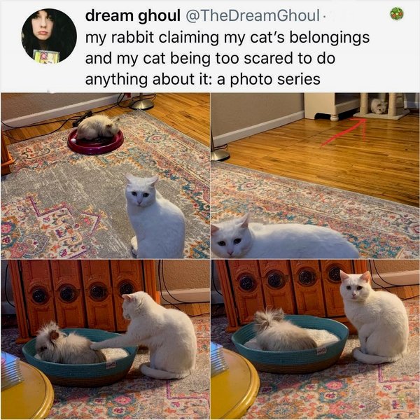 Thumbnail of p-b9pngjwlwwo-10f67508aa764a6e 0