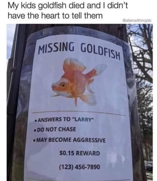 Thumbnail of p-cbekctvfidi-1103d8bbb4c1436b 0