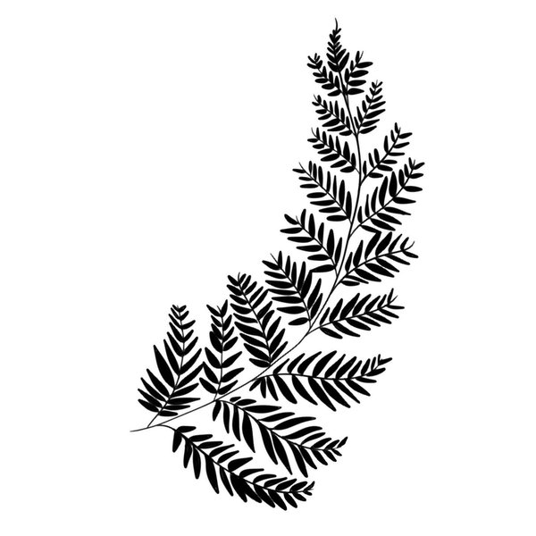 Thumbnail of p-ci5xgsnowlc-11051afd06f540c3 2