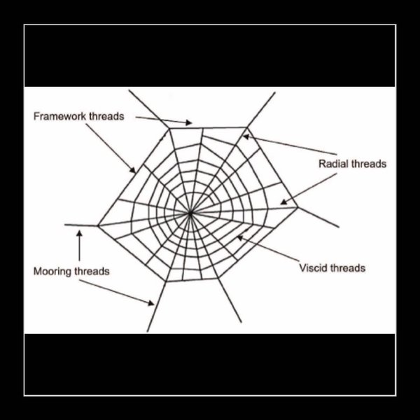 Thumbnail of p-cghstfdlwi4-1108333abdf84fca 0