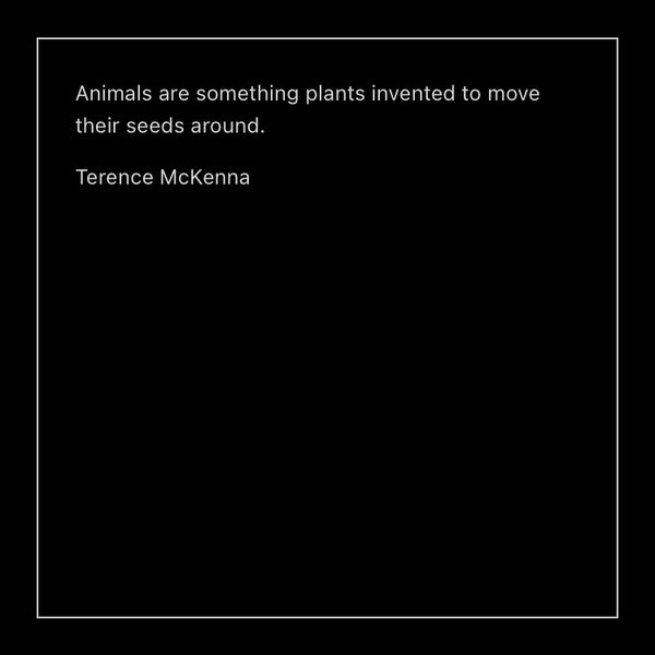 Thumbnail of p-cghstfdlwi4-1108333abdf84fca 7