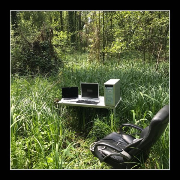 Thumbnail of p-cghstfdlwi4-1108333abdf84fca 8