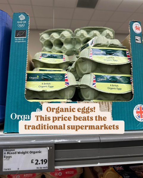 Thumbnail of c890tbpi-ia-1124d3bad48848c2 4