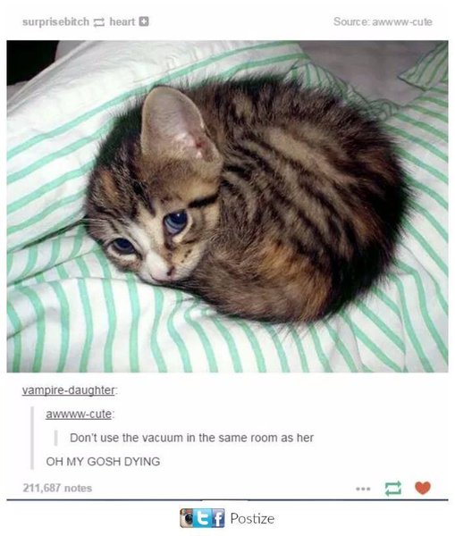 Thumbnail of p-b4uqvfajzcm-112efdff7ca349f2 0