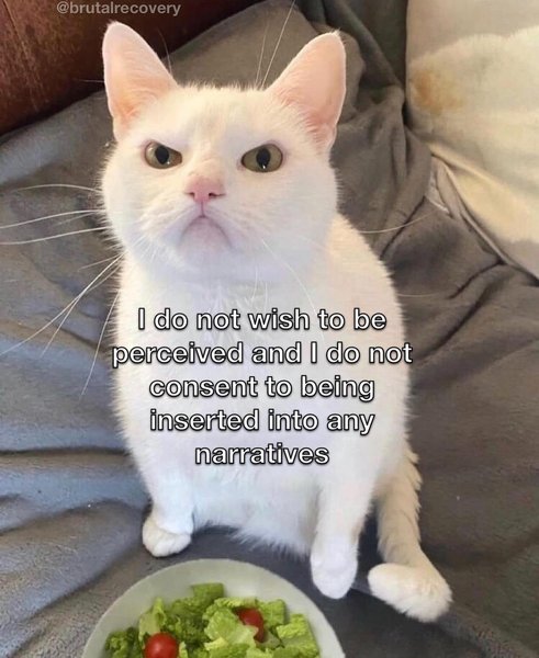 Thumbnail of p-cx80y2ksacr-1131a139fcf14bf8 0