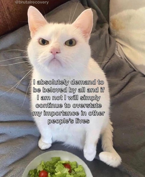 Thumbnail of p-cx80y2ksacr-1131a139fcf14bf8 1