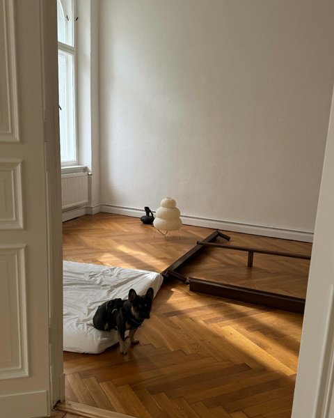 Thumbnail of p-c6wsxigixje-113d302feed244fe 5