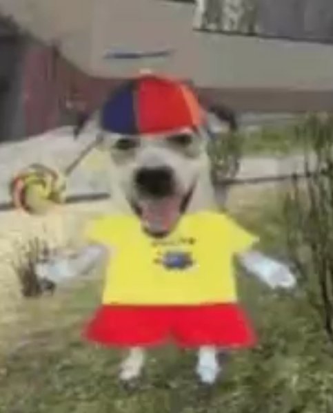 Thumbnail of p-dlfosljpop4-114b228e21b546bd 7