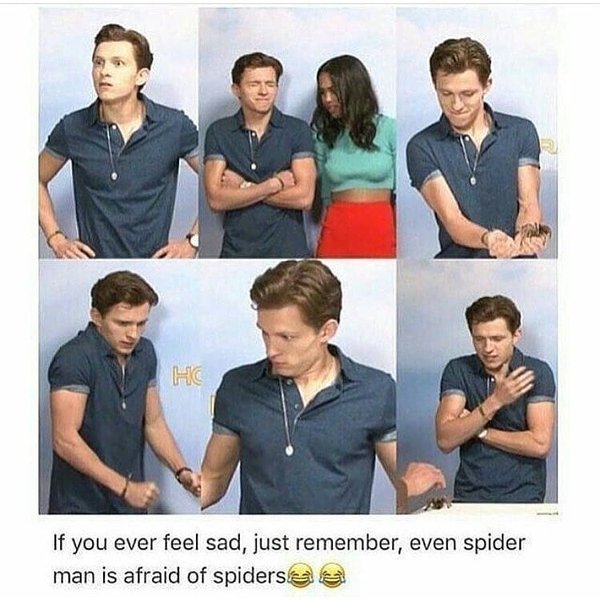 Thumbnail of p-bmguhlnlk9o-11a8faf890d745d1 0