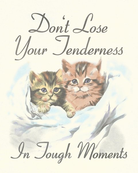 Thumbnail of p-cvpsfu1ojsh-11af4e724cb04c16 0