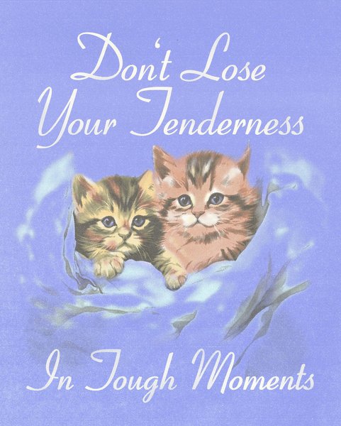 Thumbnail of p-cvpsfu1ojsh-11af4e724cb04c16 1