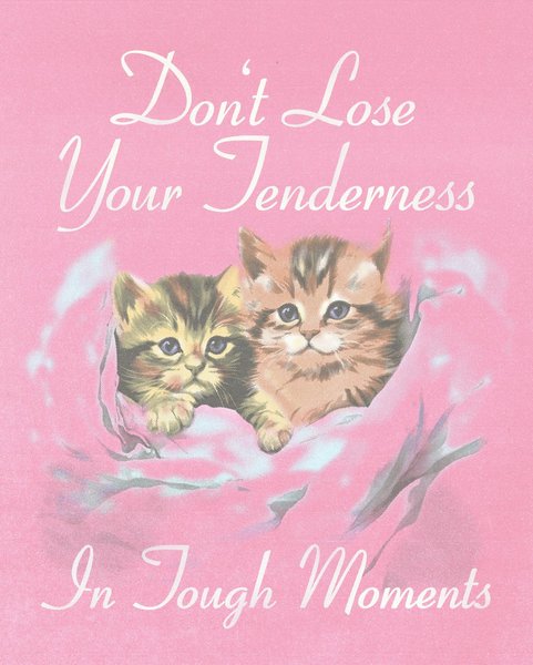 Thumbnail of p-cvpsfu1ojsh-11af4e724cb04c16 2