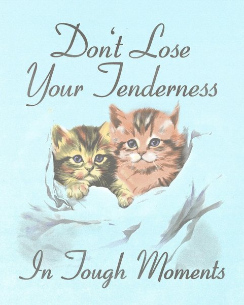 Thumbnail of p-cvpsfu1ojsh-11af4e724cb04c16 3