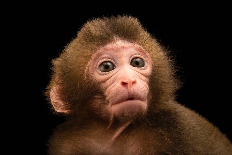 Thumbnail of p-b5k53ysnbjb-11cb575b7a914268 0