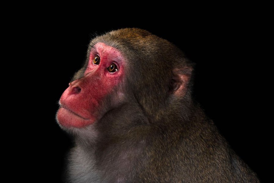 Thumbnail of p-b5k53ysnbjb-11cb575b7a914268 1