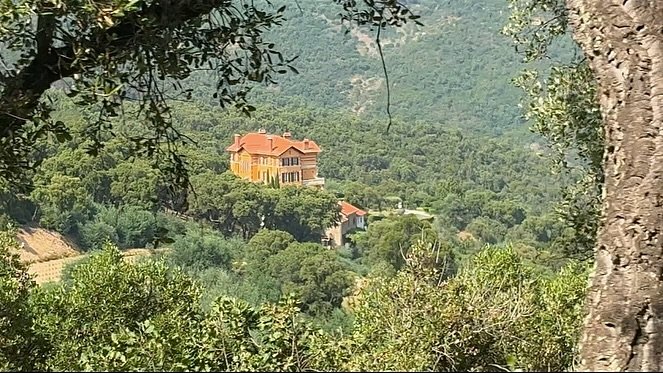 Thumbnail of p-dmvf5odijwp-11d1db1c5b7149ea 3