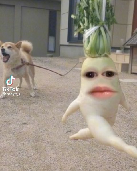 Thumbnail of ctwp7z7s-ui-11fe5214ce844a7f 3