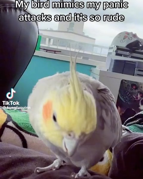 Thumbnail of ctwp7z7s-ui-11fe5214ce844a7f 9