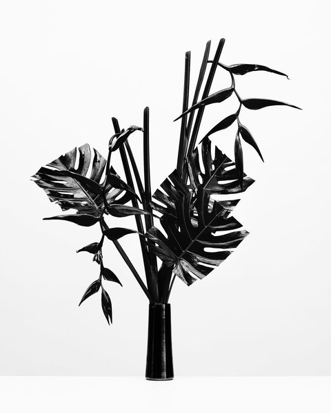 Thumbnail of www-instagram-com-p-bd8hsh-wbvn 0