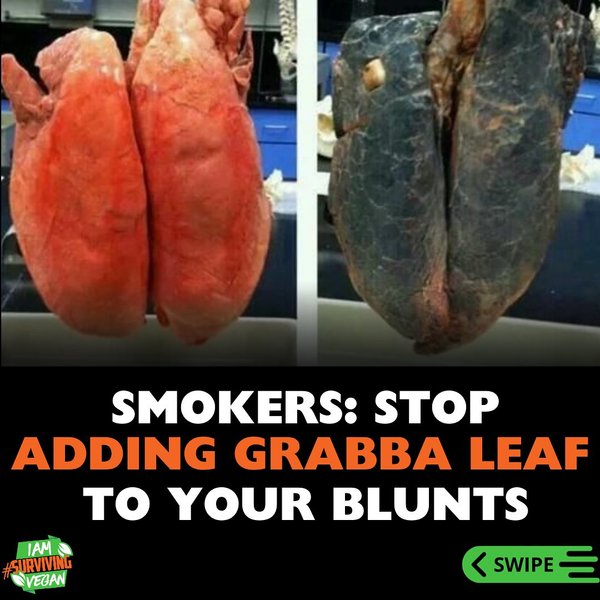 Thumbnail of p-czy48buro9w-124e6108e01e4c2e 0